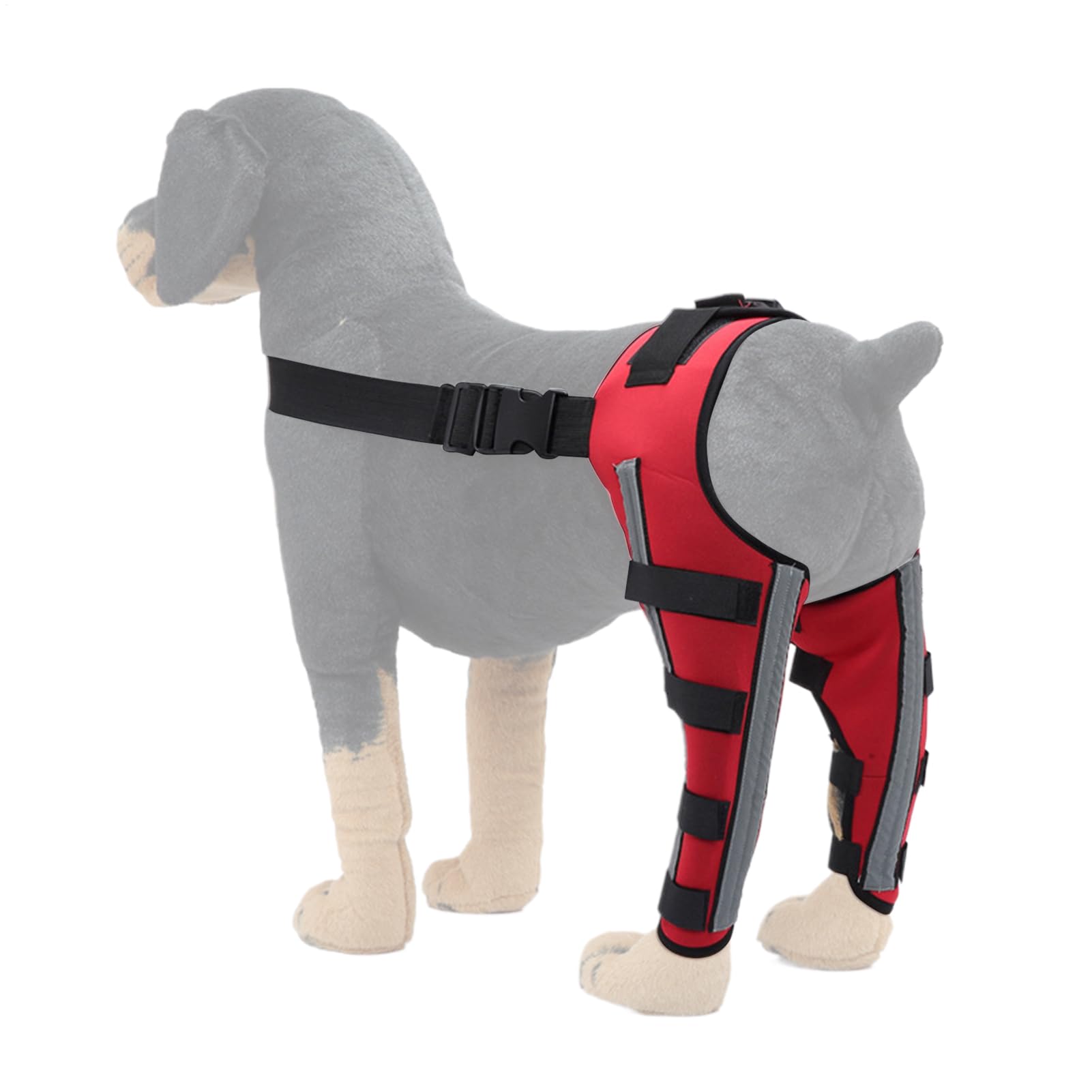 犬用の整形サポーター | 膝の保護用ブラケット - 犬の 肢用スリーブ - 関節安定 補強 リハビリ 歩行サポート 移動支援｜アピネス