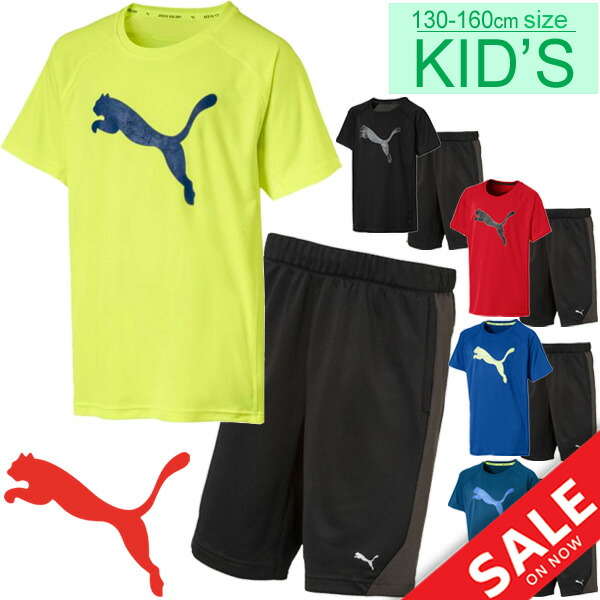 puma kids shorts