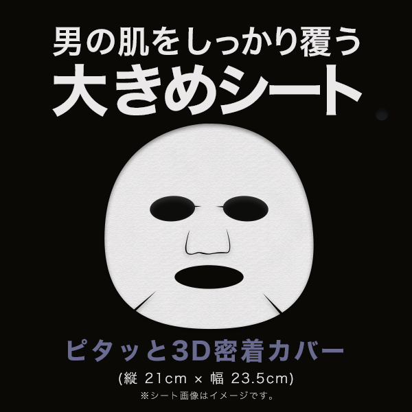 大きめシート