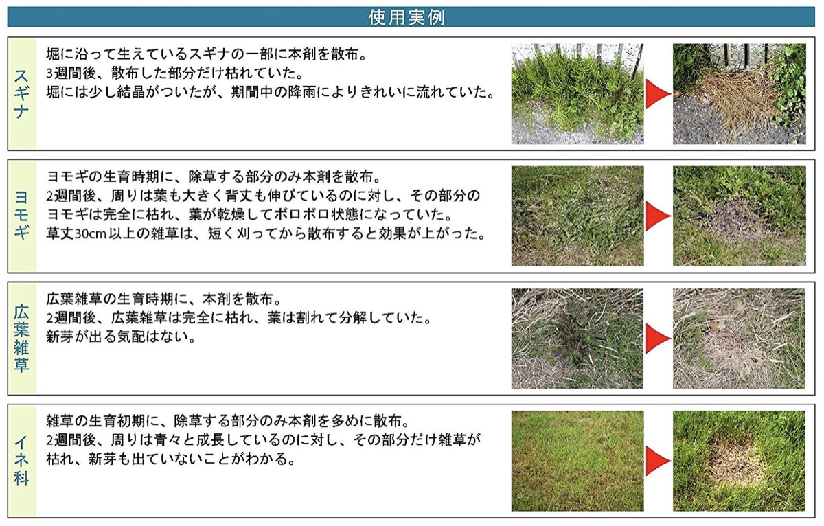 楽天市場 人にやさしい除草剤 18l 1 人とペットと環境に配慮した 100 完全無農薬 の安全な 除草剤 日本製 M Apマーケット