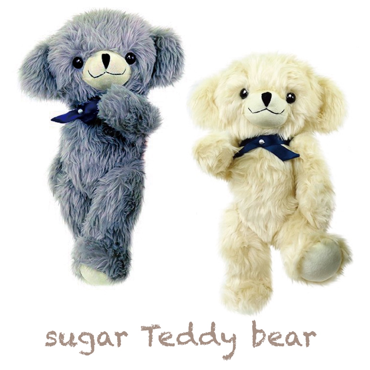 teddy the teddy