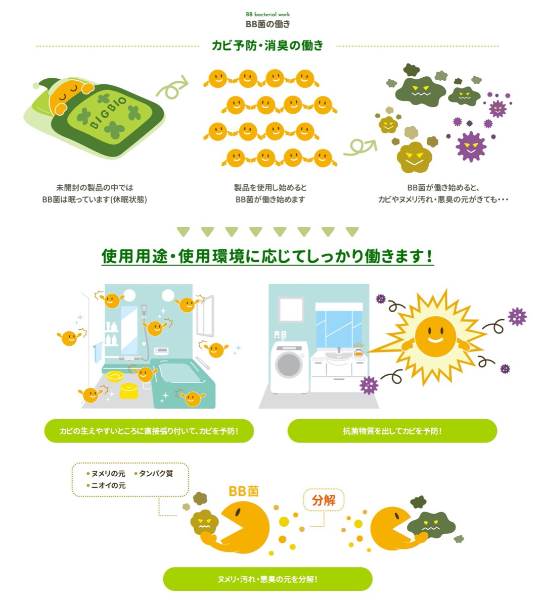 楽天市場 Bigbio エコ バイオリング 3個セット 水槽用 水質浄化材 水換えの手間軽減 水槽 水質改善 微生物 糞 エサ 餌 食べ残し 分解 エコバイオリング 緑 茶 白 3色セット ビッグバイオ Sg Apマーケット