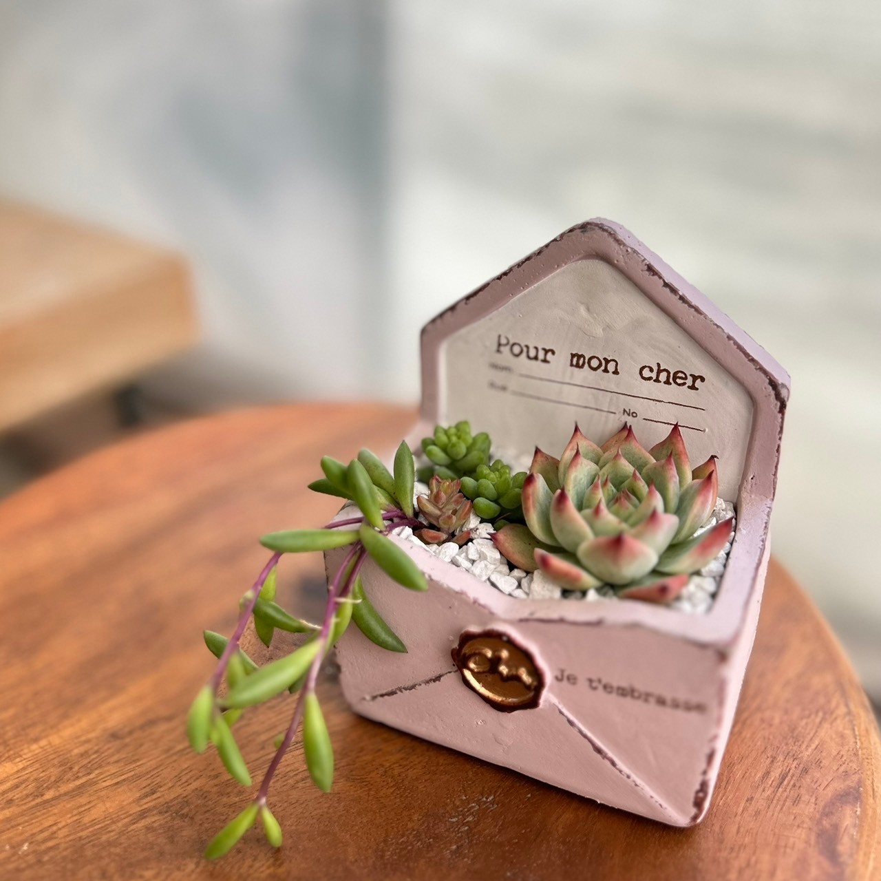 楽天市場】【 多肉 寄せ植え 】BOOK型 本 多肉植物 多肉寄せ植え