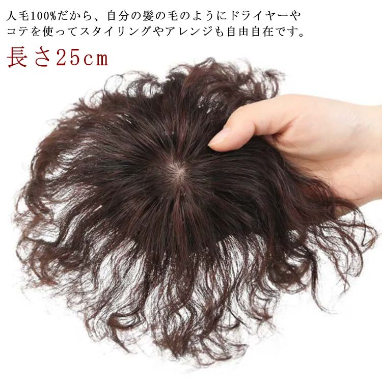 ウィッグ 部分ウィッグ 人毛100％ 長さ25cm 白髪隠し 送料無料 ヘアピース 薄毛対策 トップカバー 滑り止め トップ ピース トップ カバー ウイッグ 白髪かくし ボリューム アップ ミセス