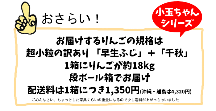 楽天市場 青森りんご 訳あり 超小玉 18kg 早生ふじ 千秋 バラ詰めミックス 超小玉 青森産 りんご 18kg 訳あり 超小玉ちゃん ダンボール箱でのお届けです リンゴ 販売 青森県産 りんご 訳あり 早生 ふじ りんご 千秋 せんしゅう りんご 販売