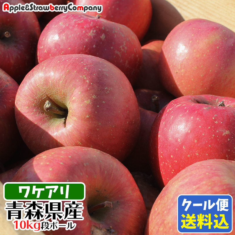 楽天市場 即納 産地直送 青森りんご 訳あり 10kg 送料込み クール便発送 おまかせミックス または フジのみ から選べます青森県産 リンゴ 林檎 １０ｋｇ 激安 安い お得 送料無料 訳アリ ワケアリ 到着後は冷蔵保存お願いします ａpple ｓtrawberryｃompany