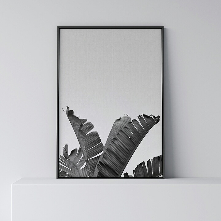 ポスター 北欧 おしゃれ インテリア アート アートパネル 【 Banana Leaf 3 mono 】 リーフ 葉 植物 バナナ 緑 グリーン 葉っぱ モダン シンプル フレーム付き A0 A1 B1 A2 B2 A3 B3 モノトーン 白黒