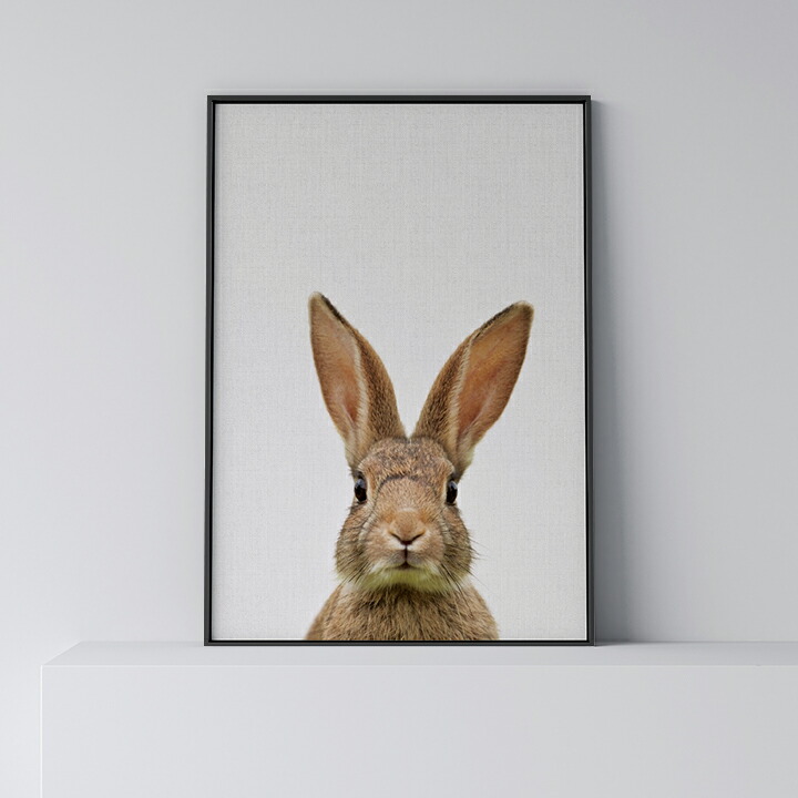 【真作】アートポスター　フクロアリクイ　静かな自然の情景　愛らしい動物　U32 楽天市場】＼SUPER SALE半額／ポスター 北欧 おしゃれ インテリア