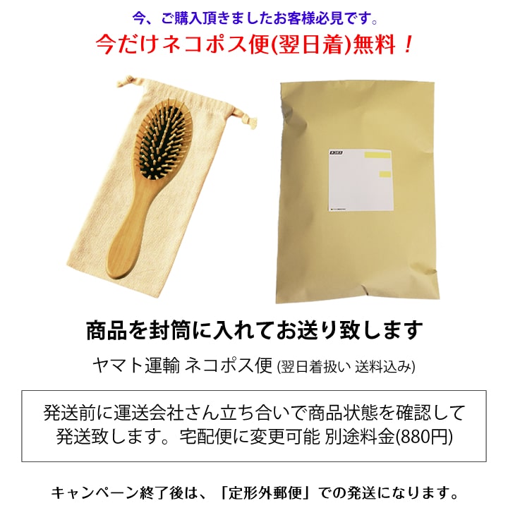 楽天市場 ヘアブラシ 木製 リセットブラシ くし 軽量 人気 髪の手入れ 送料無料 あす楽 ヘアーブラシ 敬老の日 プレゼント 贈り物 あっぷる本舗