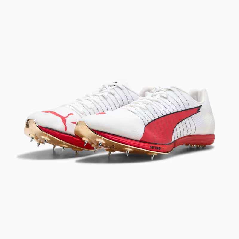 プーマ エヴォスピード フォルテ ニトロ エリート PUMA evoSPEED Forte NITRO Elite 313590-01 ユニセックス 短距離用 陸上スパイク 2026psp (31359001)