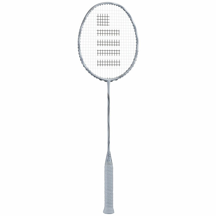 GOSENインフェルノレイド4U6 ウインザーオンラインショップ【張り工賃別】ゴーセン インフェルノ