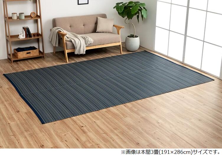 イケヒコ 洗える PPカーペット アウトドア ペット ネイビー 本間8畳(約382&times;382cm) シンプル ネイビー 2126518【代引き不可】【北海道沖縄離島は配送不可】-お取り寄せ品-｜パソコンパーツのアプライド