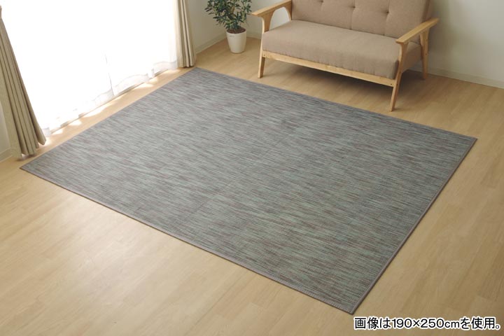 イケヒコ ラグ カーペット 無地 シンプル バンブー 竹 「DXフォース」 グレー 約190×190cm カジュアル グレー 5370470【代引き不可】【北海道沖縄離島は配送不可】-お取り寄せ品-|パソコンパーツのアプライド