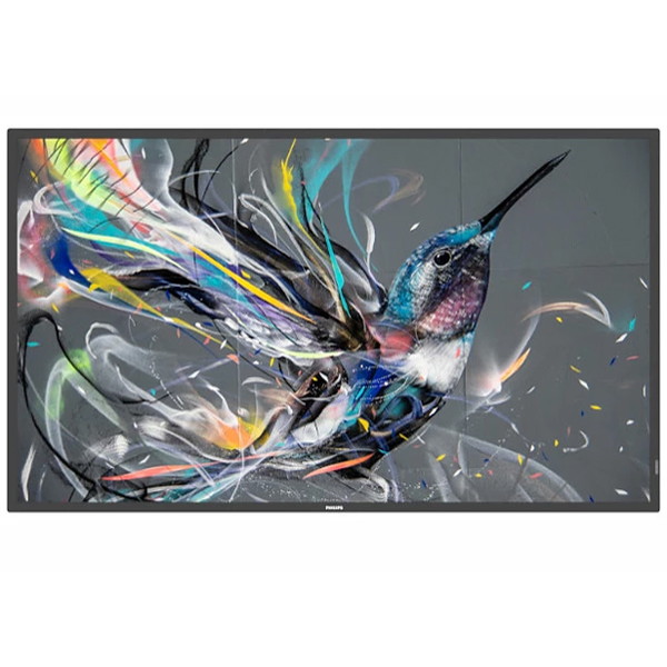 パソコン管する・液晶見せびらかす PHILIPS / フィリップス 50BDL3511Q/11 [49.5in] 【とり止める不可・北海道沖縄離島送りとどける不可】 0057-8721038103243-ds