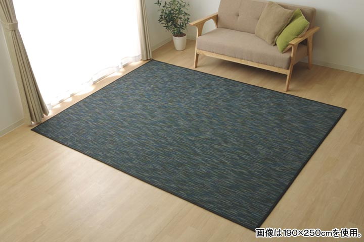 イケヒコ ラグ カーペット 無地 シンプル バンブー 竹 「DXフォース」 ブラック 約190&times;300cm カジュアル ブラック 5370290【代引き不可】【北海道沖縄離島は配送不可】-お取り寄せ品-｜パソコンパーツのアプライド