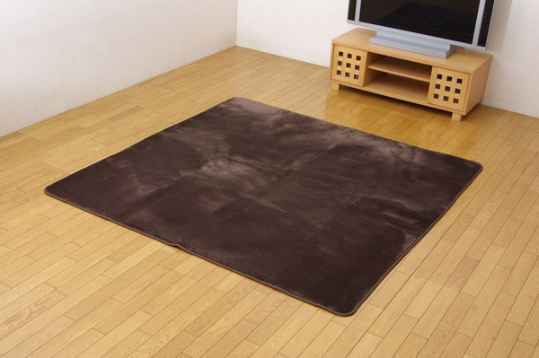 イケヒコ 水分をはじく 撥水加工カーペット 「撥水リラCE」 ブラウン 200&times;300cm シンプル ブラウン 3948189【代引き不可】【北海道沖縄離島は配送不可】-お取り寄せ品-｜パソコンパーツのアプライド