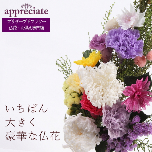 Appreciate 送料無料です 仏花専門店 プリザーブドフラワー 送料無料 Appreciate 1本タイプ いちばん大きく豪華なプリザーブドフラワー仏花 プリザ仏花の専門店 プリザーブドフラワー仏花の専門店が丁寧にお作りしたお供えのお花です いちばん大きく豪華な