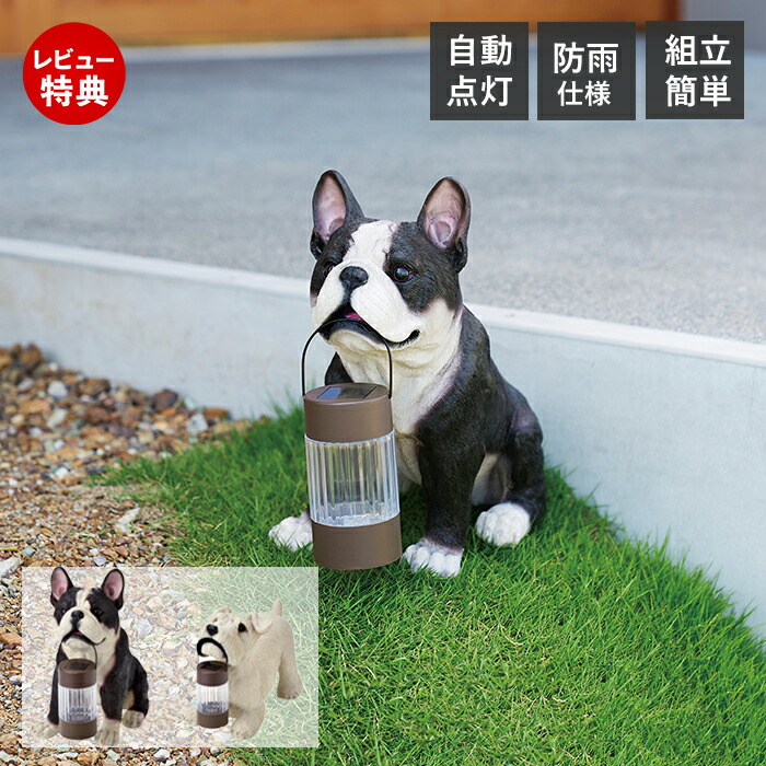 楽天市場】ソーラーオーナメント LED ミニチュアシュナウザー