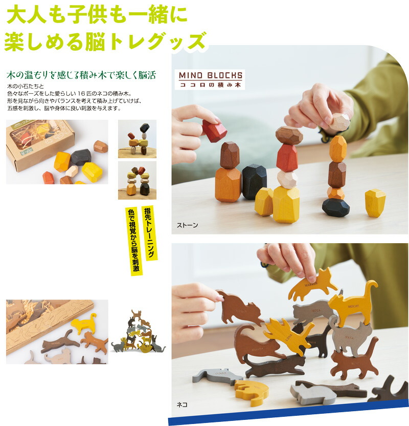 楽天市場】NEW こどろき WAKU 童具館 積み木 和久 : おもちゃの国 オズ