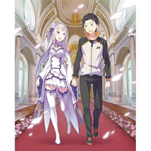 DVD / TVアニメ / Re:ゼロから始める異世界生活 2nd season 8 / ZMBZ-14278