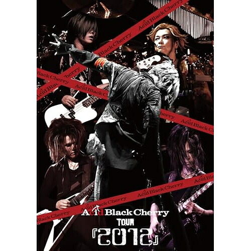 BD / Acid Black Cherry / Acid Black Cherry TOUR 『2012』(Blu-ray) (3Blu-ray+2CD) / AVXD-32344