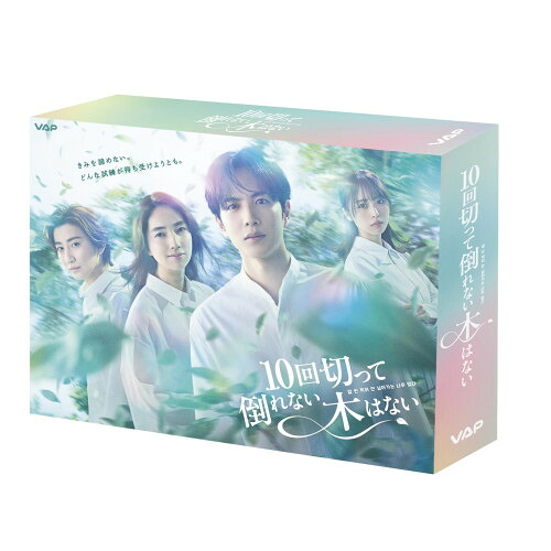 ▼DVD / 国内TVドラマ / 10回切って倒れない木はない DVD BOX (本編ディスク3枚+特典ディスク1枚) / VPBX-14300[12/09]発売｜エプロン会　店