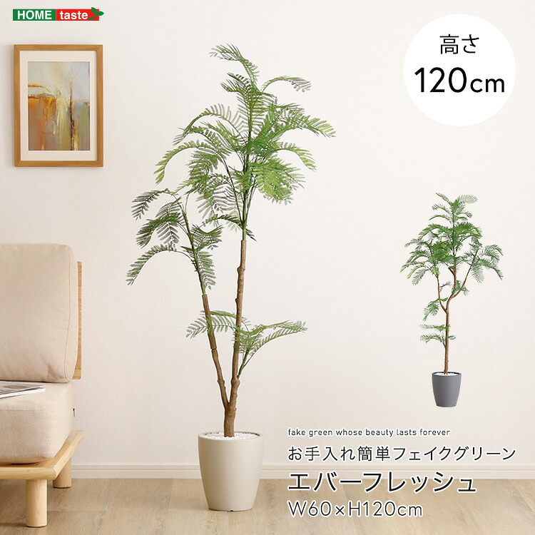 お手入れ簡単フェイクグリーン　エバーフレッシュ　Sサイズ(120cm) オフィス リアル 大型 壁 おすすめ 風水 おしゃれ 緑 インテリア リビング｜apude 店