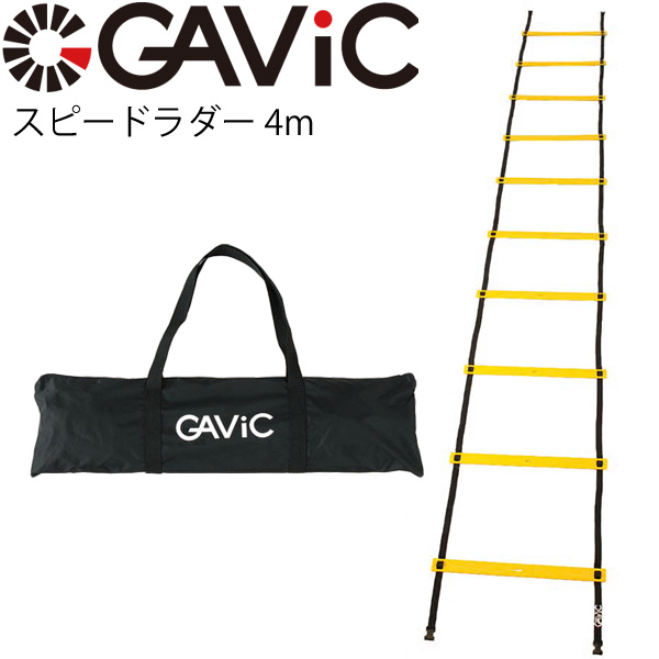 楽天市場】【全P５倍☆4月20日限定】消臭スプレー ガビック GAVIC マルチデオドラントスプレー 220ml 日本製 ケア用品 サッカー  フットサル スポーツ/GC1315【取寄】【返品不可】 : APWORLD