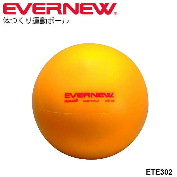楽天市場】送料無料 エバニュー アテチャン(2色組) 日本製 ボール運動