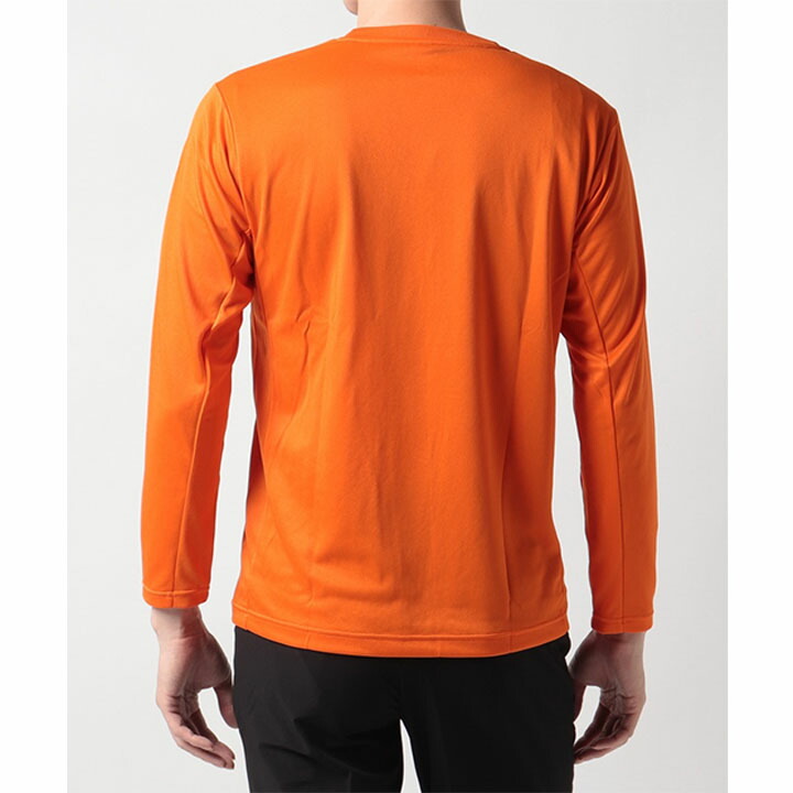高評価！ 長袖 Tシャツ メンズ デサント DESCENTE DRYMESH スポーツウェア 吸汗速乾 トレーニング ジム ランニング 男性  MoveSport トップス DMMUJB51 www.nwhswa.com