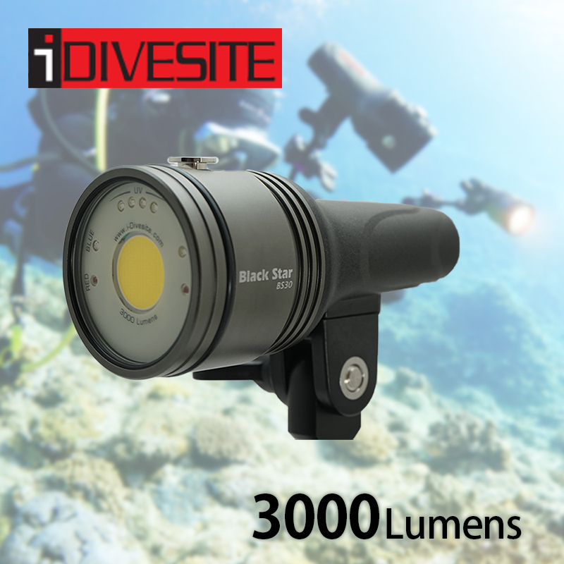 I Divesite I Torch Bs30 ダイビングライト Led 水中ライトビデオライト ダイビング 水深100m対応 3000ルーメン マクロ ワイド 白色光 赤色光 Uv灯 Sos Ysマウント 毎週更新