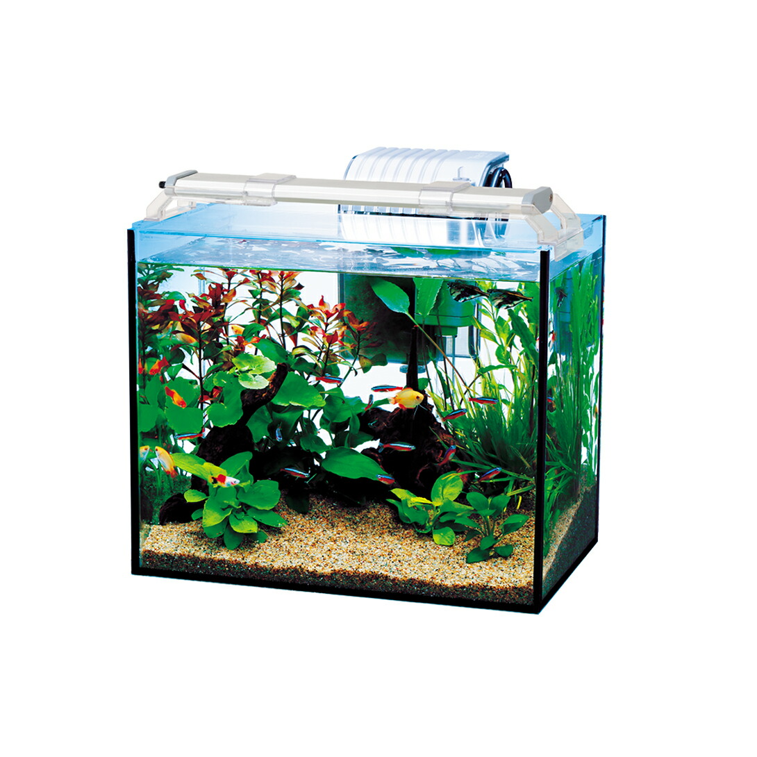 テトラ 水槽セットテトラ オールグラスアクアリウム 熱帯魚セット 300 2 290 水槽 Led フィルター Csg Com Py