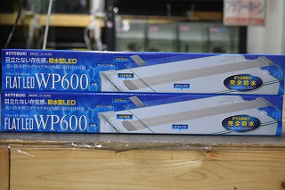 コトブキ Ledライト フラットｌｅｄ ｗｐ ６００ １７w 水槽 熱帯魚 観賞魚 飼育 完全防水型 商舗