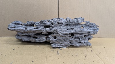 アクアＦ一般受け商いもの！【流木】穴あき流木 6番神戸店店卸し資産品