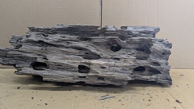 アクアＦ一般受け商いもの！【流木】穴あき流木 9番神戸店店卸し資産品