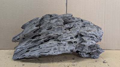 アクアＦ一般受け商いもの！【流木】穴あき流木 14番神戸店店卸し資産品