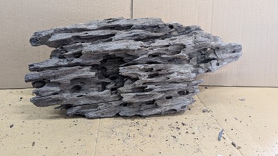 アクアＦ一般受け商いもの！【流木】穴あき流木 16番神戸店店卸し資産品