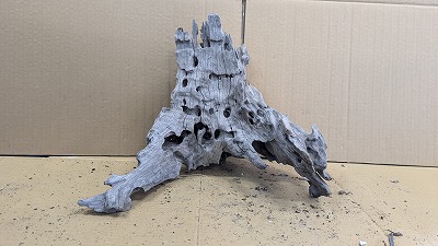 アクアＦ一般受け商いもの！【流木】穴あき流木 17番神戸店店卸し資産品