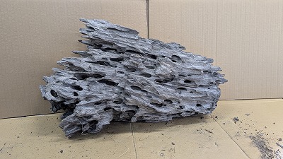 アクアＦ一般受け商いもの！【流木】穴あき流木 19番神戸店店卸し資産品