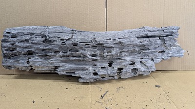 アクアＦ一般受け商いもの！【流木】穴あき流木 3番神戸店店卸し資産品