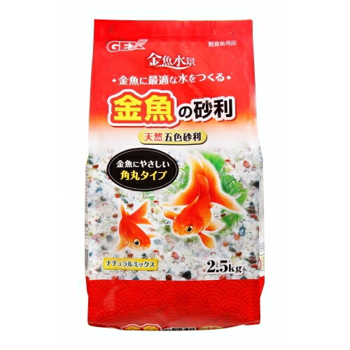 タイ産セレクト品です セレクト上物 観賞魚 金魚 現地セレクト タイ産 オランダシシガシラ 観賞魚 K 1極上品 熱帯魚 観賞魚 飼育 神戸店在庫 Aqua F タイ産セレクト品です セレクト上物 観賞魚 金魚 現地セレクト タイ産 オランダシシガシラ 観賞魚 K 1極上品 熱帯魚 観賞魚 飼育 神戸店在庫 Aqua F