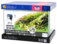 今季注目 本日発送  【M6RM5RAYOLN】 限定デザイン