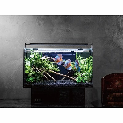 【ＧＥＸ】グラステリア　アグス　OF-450 楽天市場】【GEX】グラステリア アグス OF-450大人気商品神戸店在庫