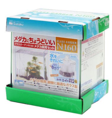 アクアF数量限定大特価!グラスガーデンN160 メダカ飼育セット (15.8×13×17Hセンチ)簡単メダカセット!
