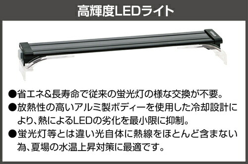 コトブキ コトブキ工芸 ワイド900 5点 Ledw900 D300 H360 90l ガラス水槽 Sandjfisheries Co Uk