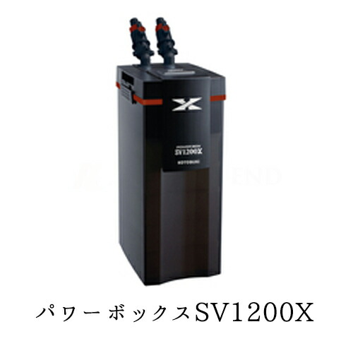楽天市場】レイシー マグネットポンプ RMD-551『ポンプ・水流ポンプ