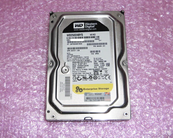 HP 484429-001 (WD WD2502ABYS) SATA 250GB 3.5in 中古固定ディスク