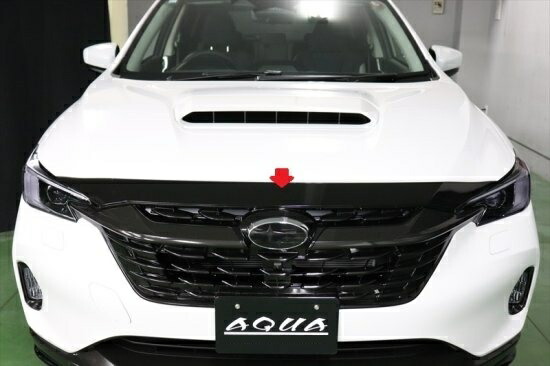 楽天市場】レイバック フロントグリルシート : AQUA-STYLE