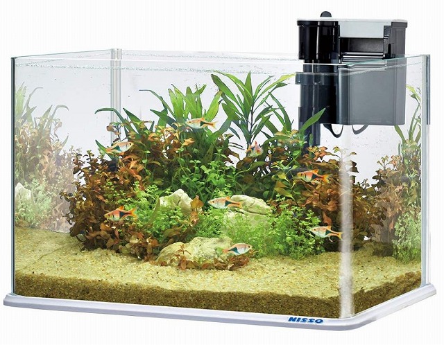 楽天市場 ニッソー クリアスティングレーセットmnws 391 Aquarium Zenith