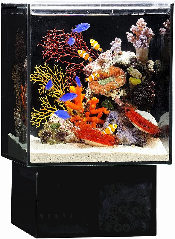 正規品 楽天市場 Gex グラステリア アグス Ags Of 230オーバーフロー水槽 Aquarium Zenith 受賞店舗 Lexusoman Com